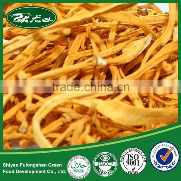 High Quality Dried Cordyceps Fungus Flower