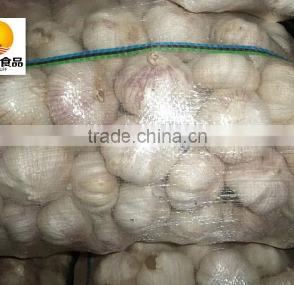 Chinese Exported Air Dried Normal White Garlic photo-5