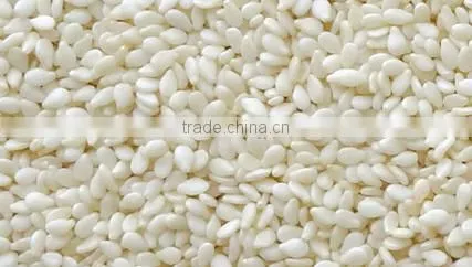Best Price Hulled Sesame Seeds for Importers
