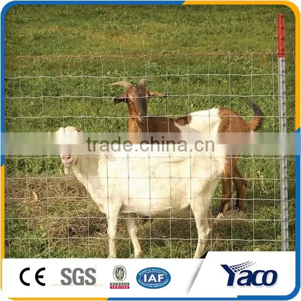 Trade Assurance Steel Fence t Post Made in Anping photo-5