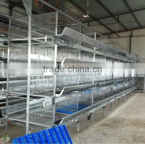 Automatic Quail Layer Cage photo-5