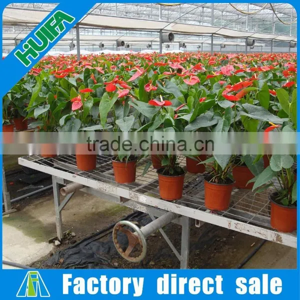 2016 Hot Sale Commercial Greenhouse Growing Benches Tables in USA photo-3