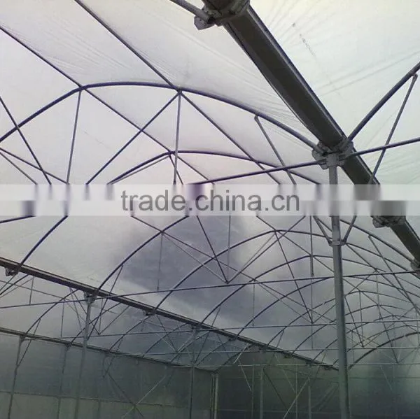 Poly Film Tomato Greenhouse photo-3
