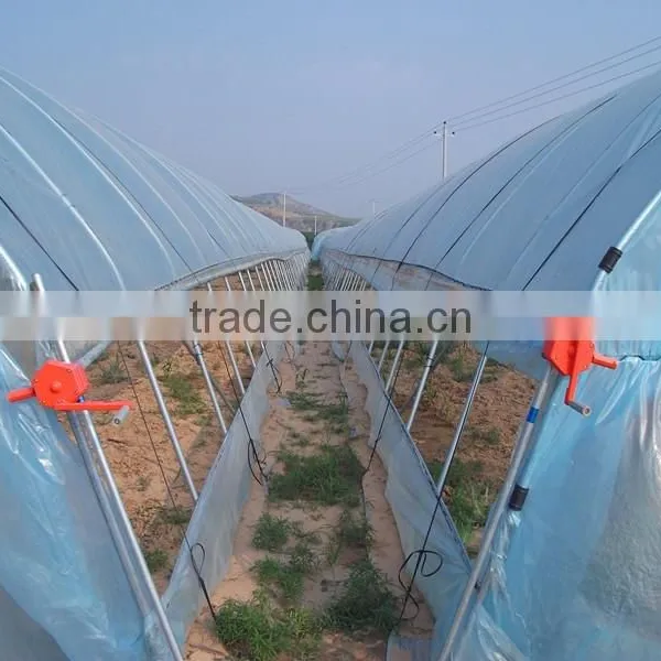 Cheap Tunnel Vegetable Greenhouse With Shading Screen photo-4