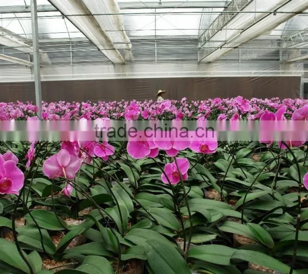 Multi Functional Vegetable Greenhouse Covered By Plastic Polythene Film photo-4
