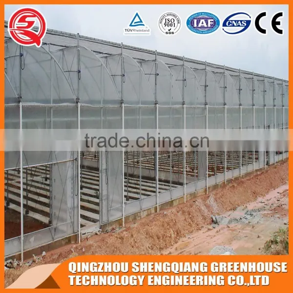 Walk in Greenhouse Plastic/greenhouse Steel Frame photo-6