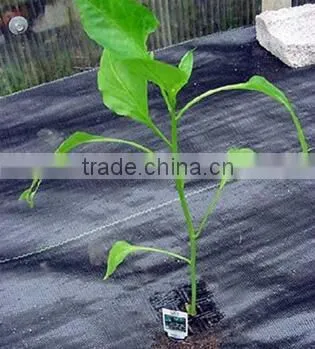 High Quality Used Plastic Mulch Layer Weed Barrier Fabric photo-2