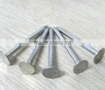 Roofing Nail Clout Nails Felt Roofing Nail photo-4