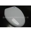 Toilet Seat