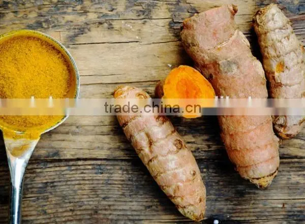 Best Price Fresh Turmeric Root From Vietnam photo-2