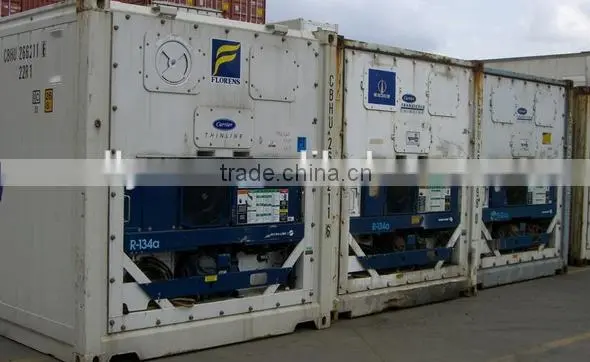 10ft 20ft 40ft Freezer and Refrigerator Container photo-3