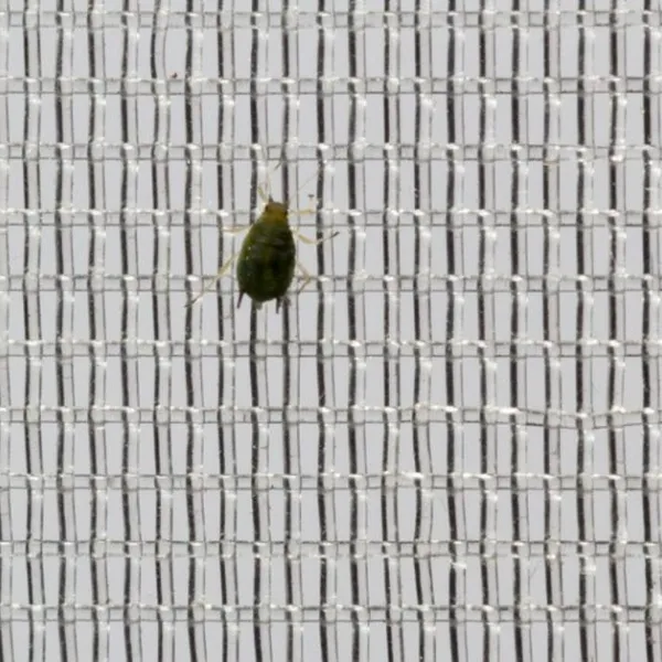 Fabrik liefert hochwertiges, preiswertes transparentes weißes Insektenschutznetz für Gewächshäuser und Landwirtschaft photo-2