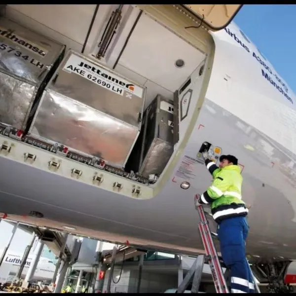 Air Freight/Freight Forwarding/China Import and Export photo-3