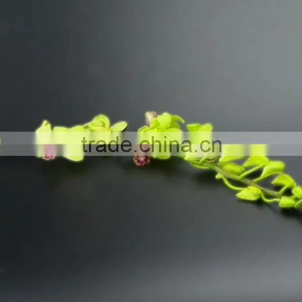 Super Quality Hot Sale Mini Wholesale Violet Orchid Cattleya photo-6