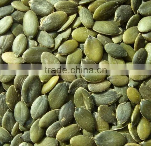 Chinese Dired Pumpkin Seeds in Shell GWS