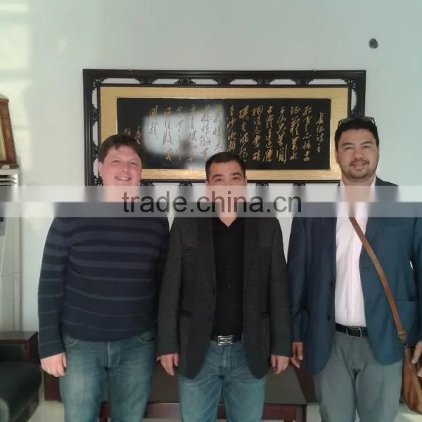 Vietnam Hot Sales Silicon Carbide 65 Anyang Manufacturer Eternal Sea photo-4