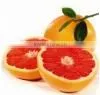 Grapefruit Essential Oil