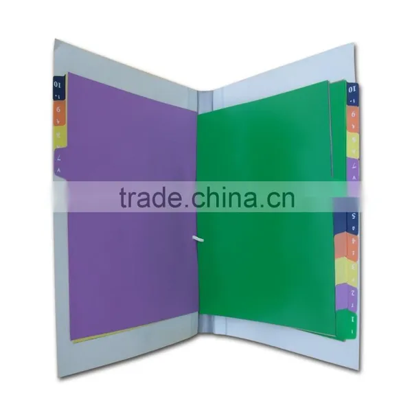 Ministry of Health Divider Files/File Folders With U-clip (BLY8-2047PPMF) photo-2