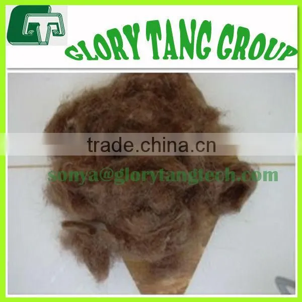 Camel Hair