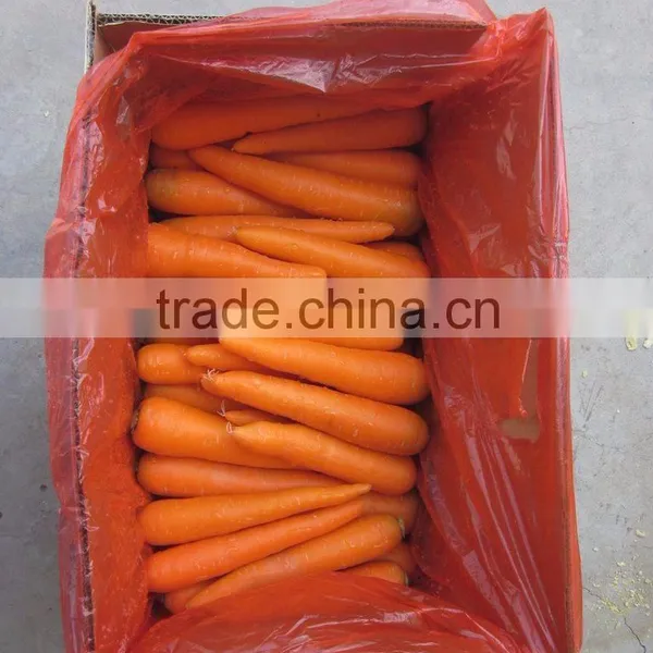 China Bulk Fresh Carrot for Sale photo-3