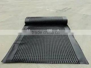 HDPE Waterproofing Geomembrane