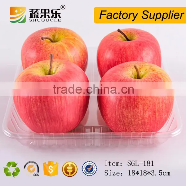 Disposable Clear Blister PET Plastic Tray photo-3