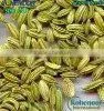Fresh Fennel Seeds