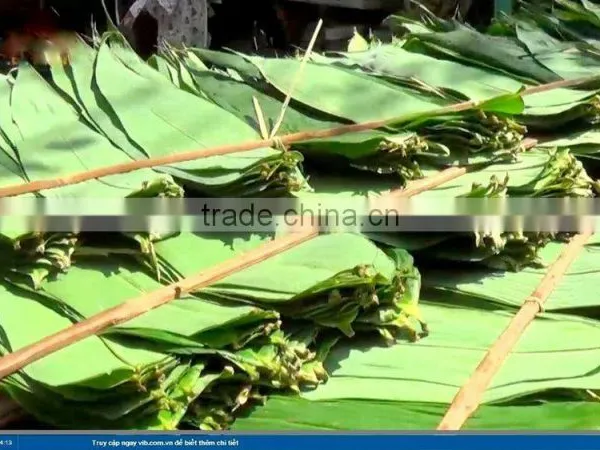 Bamboo Leaf Japan Market; Bamboo Leaves photo-4