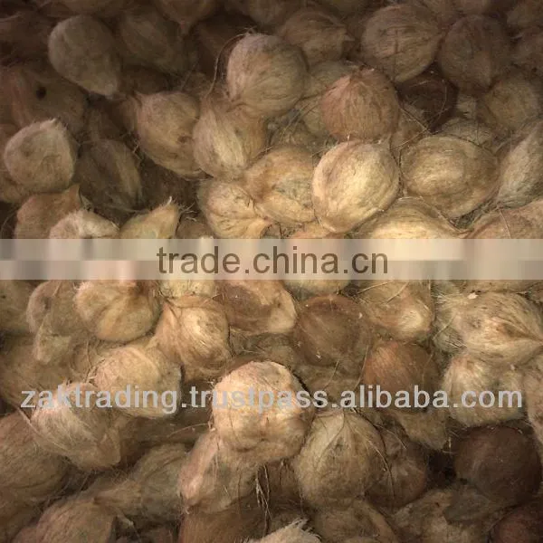 Fresh Mature Coconut photo-3