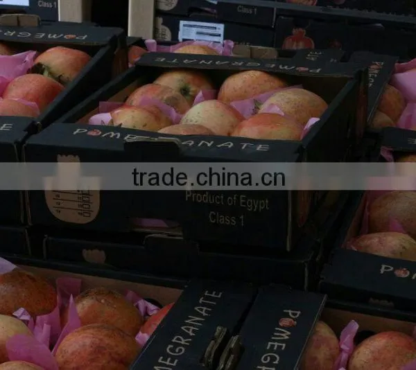 Fresh Sweet Pomegranate Crops 2015 photo-3