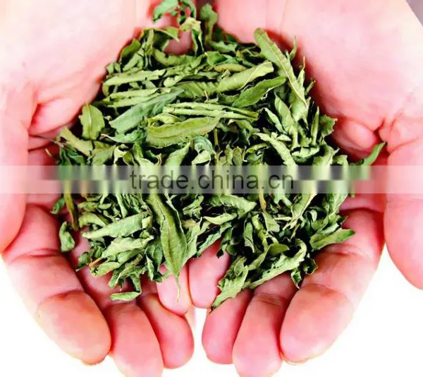 Organic Sage photo-4