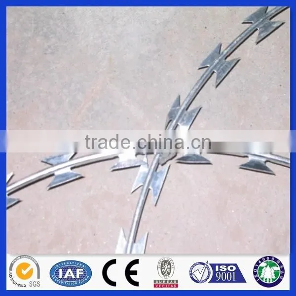 ISO 9001-2008 Professional Galvanized Concertina Razor Barbed Wire, Razor Barbed Wire, Razor Wire photo-2