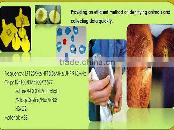 Plastic Livestock Ear Tag With Yellow Color photo-4