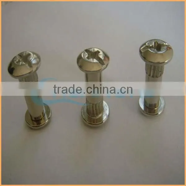 China Factory Sales Stainless Steel Furniture Screw photo-2