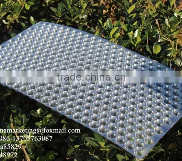 434 Holes Transparent Plastic Paddy Seed Starting Tray for Rice Propagation/Parachute Seedling Trays photo-3