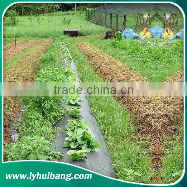 pp Weed Mat Weed Contol Barrier Groundcover photo-5