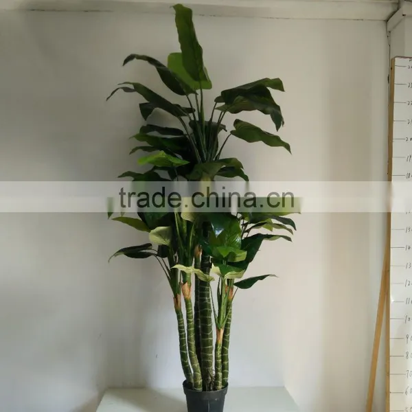Fake Radermachera Artificial Decorativa Plant Tall Plant photo-2