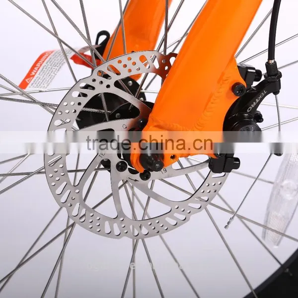2016 Hot Selling High Speed the Lastest Model With Disc Brake OEM Package Ebike photo-5