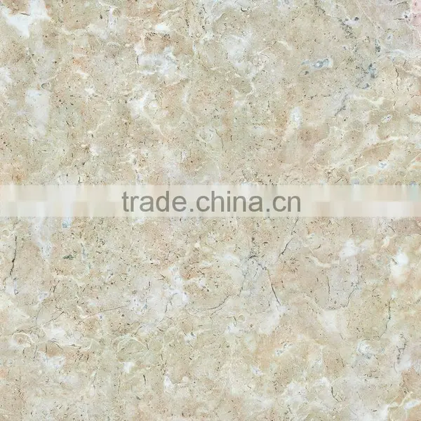 Inkjet Glazed Tiles Used for Wall and Floor photo-6
