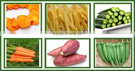 Automatic Fruit and Vegetable Chips Vacuum Frying Machine Quality Choice photo-6