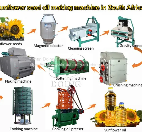 Sunflower Oil Processing Machine Sunflower Oil Production Line photo-4