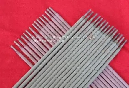 Stainless Steel Electrode photo-4