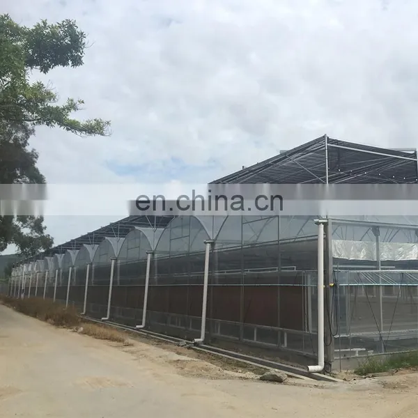 Factory Direct 100% Virgin New HDPE UV Mesh for Agricultural Sun Shade Net Garden Net Agricultural photo-5