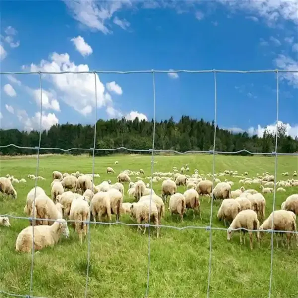 Hot Dipped Galvanized Square Corral Fence Panel for Livestock