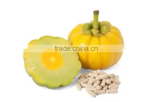 Raw Material Organic 75% Garcinia Cambogia Extract photo-3
