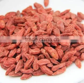 Chinese Herb Goji Berry photo-2
