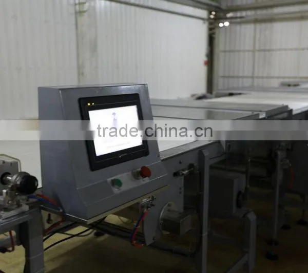 Automatic Packing Line photo-2