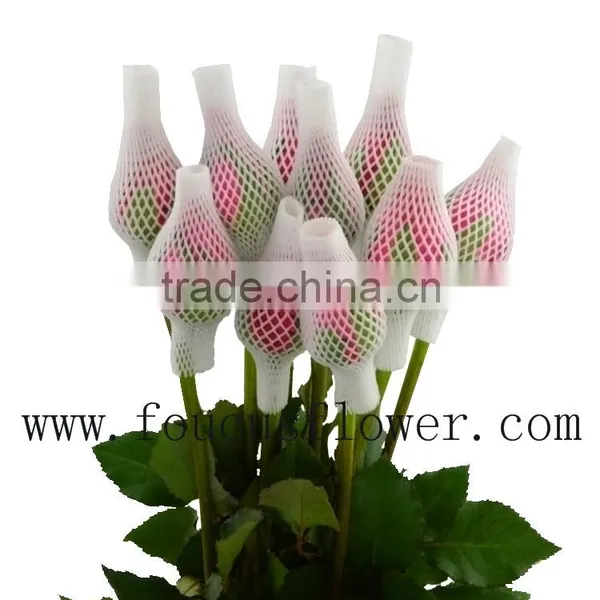 Flower Bouquets Flower Pots Flower Vase From Yunnan, China photo-2