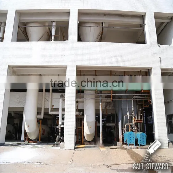 Industrial Salt Prices per Ton photo-4