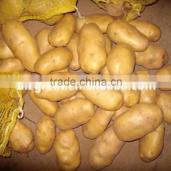 Supply Fresh Vegetables ,high Quality Fresh Potatoes for Sale photo-3